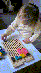 Bolthut Screen Free Brain Builder For Kids And Adults